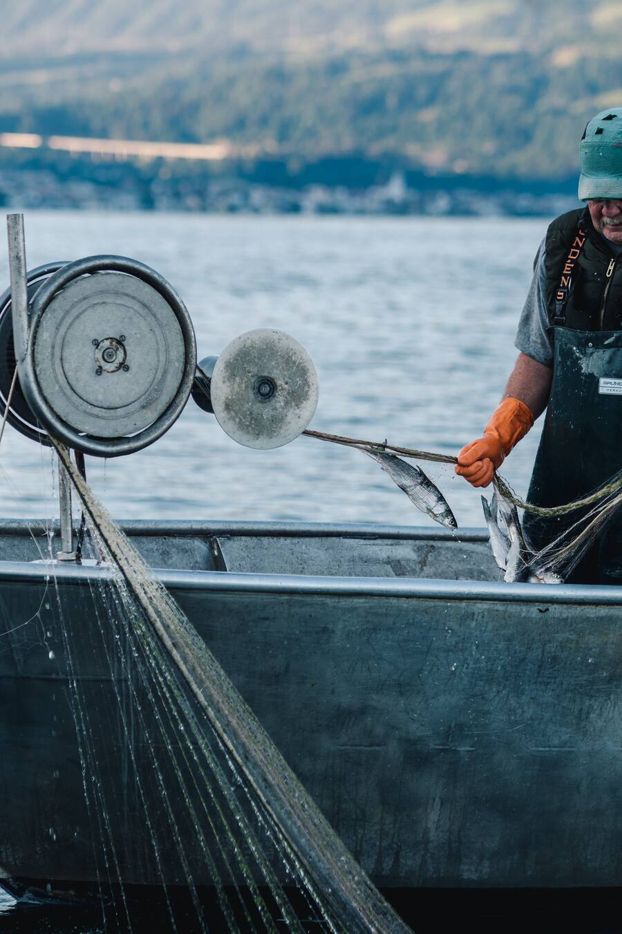 Bruder Theo Zimmermann - Unterwegs auf dem Zugersee mit Berufsfischer Arthur Zimmermann mit dabei sind Luca Bianchi und Topkoch Gregor «Smoly» Smolinsky. - Felchen fischen - Walchwil - 27. Mai 2020 - Copyright Olivia Pulver