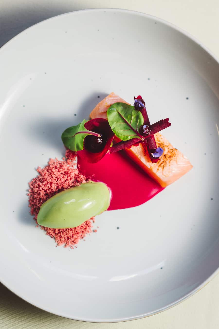 1. Gang von Marco Campanella, Ticino: Swiss Alpine Lachs, Rote Beete, Sauerampfer - Testessen zum The 5 Event im Herbst 2020 - Vrony Cotting-JulenMarco CampanellaEdgard BovierMeta HiltebrandDario Cadonau - Montag, 25.05.2020 - Copyright Olivia Pulver