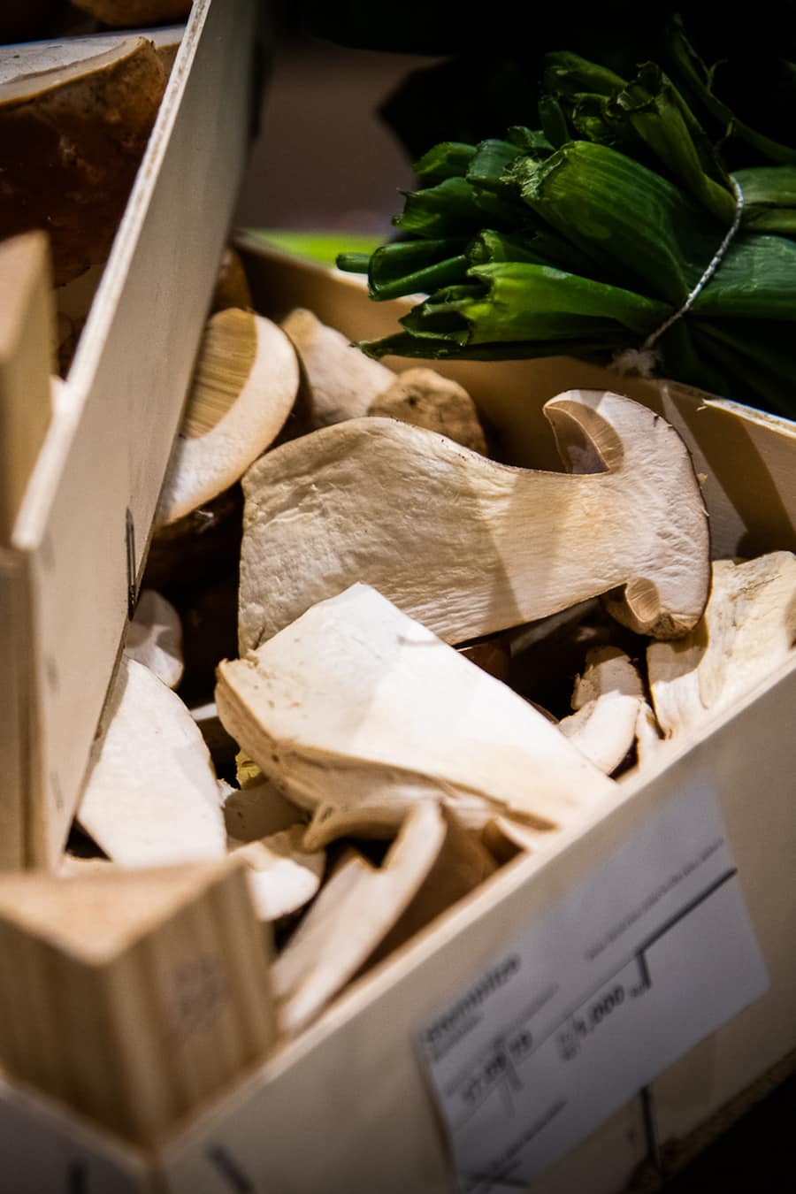 Experten Interview Globus Pilze