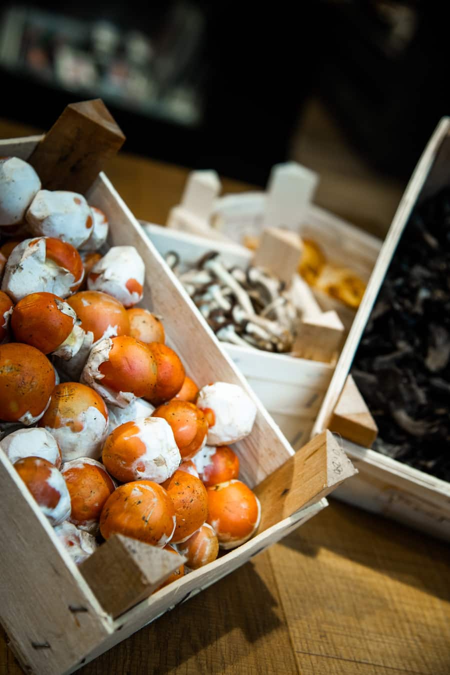 Experteninterviews Globus 2020: Eierschwämme, Kaiserlinge, Herbsttrompeten, Pioppini