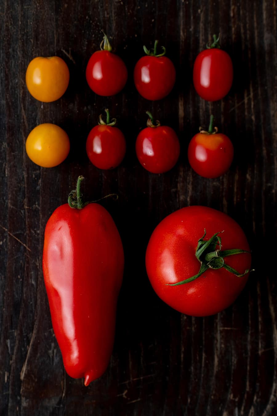 Tomaten - Die vegane Köchin Zizi bestellt ihr Gemüse bei Sarah Heiligtag von Hof Narr, ein «Gnadenhof» für Tiere. Der Verein rettet Tiere und hilft anderen Bauern umzusatteln. Daneben wird Gemüse biologisch angebaut. - 24. August 2020 - Copyright Olivia Pulver