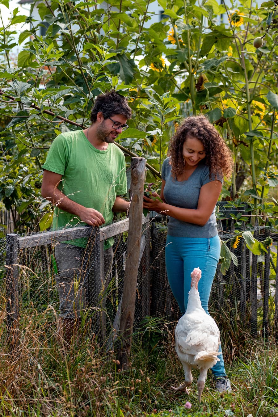 Zineb Hattab mit Alexander Garcia - Die vegane Köchin Zizi bestellt ihr Gemüse bei Sarah Heiligtag von Hof Narr, ein «Gnadenhof» für Tiere. Der Verein rettet Tiere und hilft anderen Bauern umzusatteln. Daneben wird Gemüse biologisch angebaut. - 24. August 2020 - Copyright Olivia Pulver