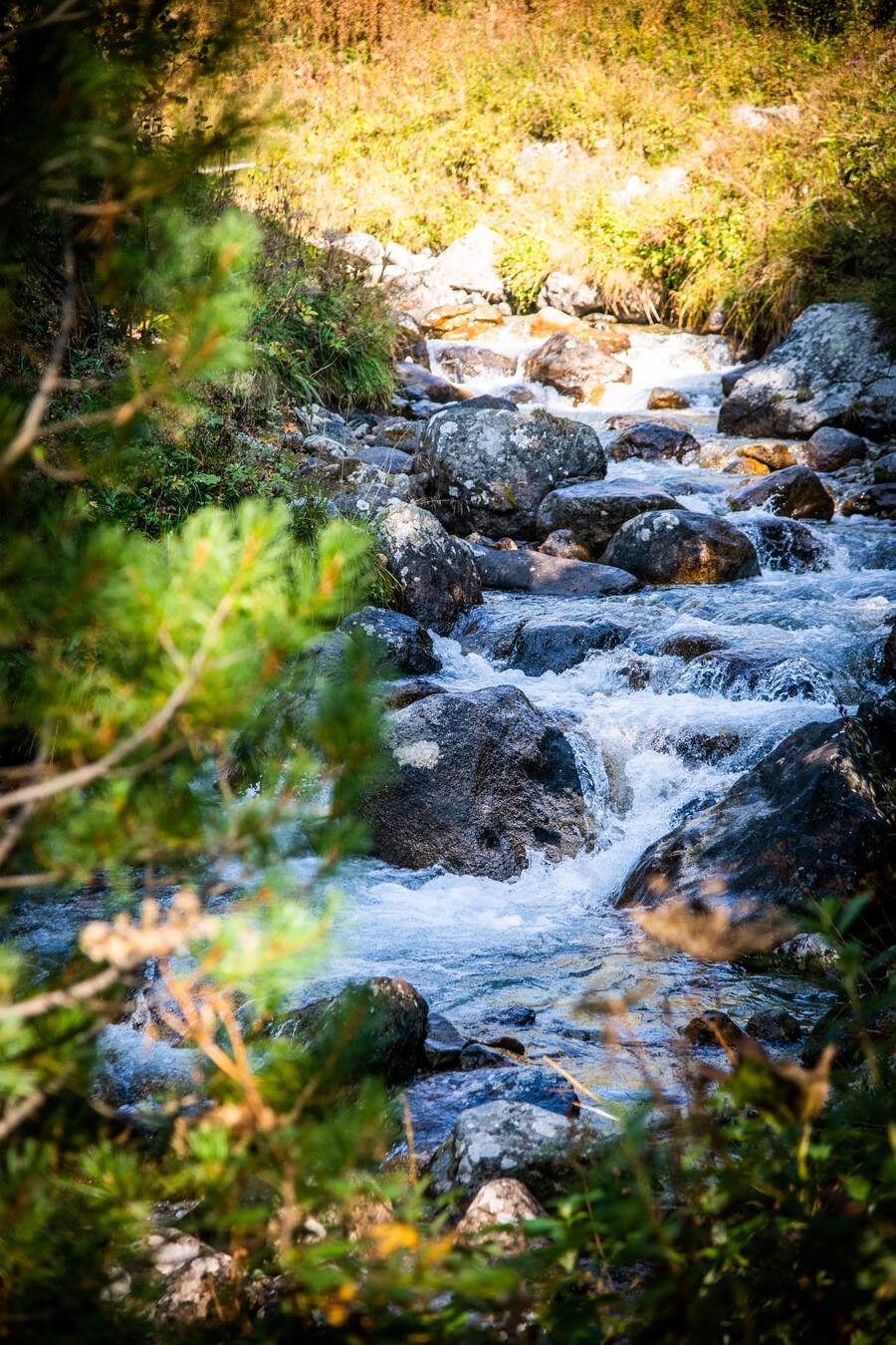 Fabrizio Zanetti wandert in St.Moritz 2020