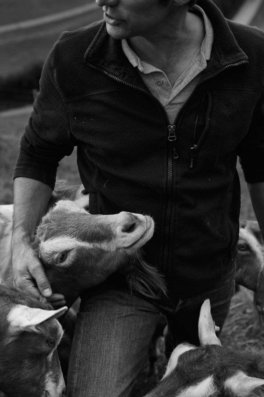 Toni Odermatt Geissäheimat Stans