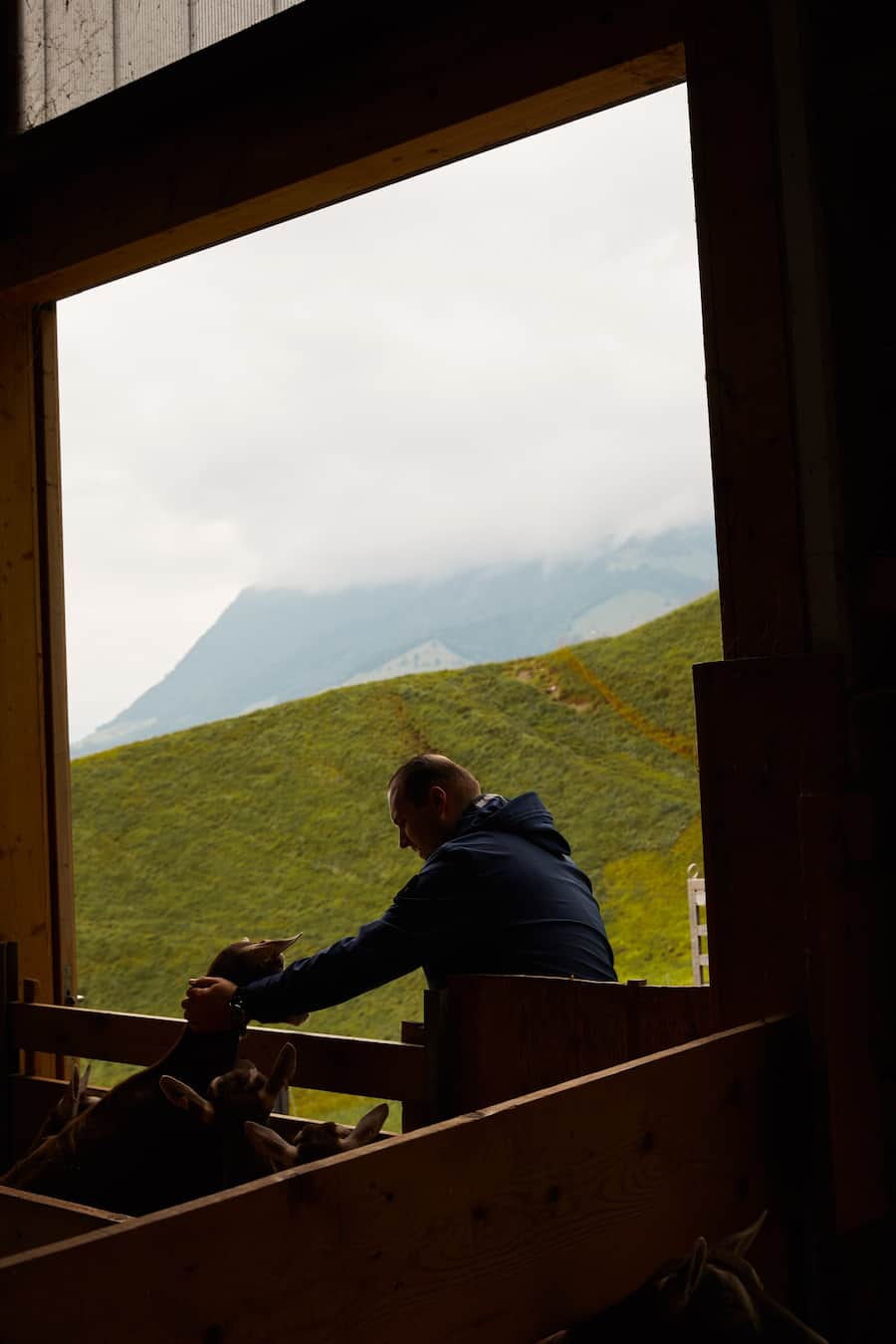 Toni Odermatt Geissäheimat Stans