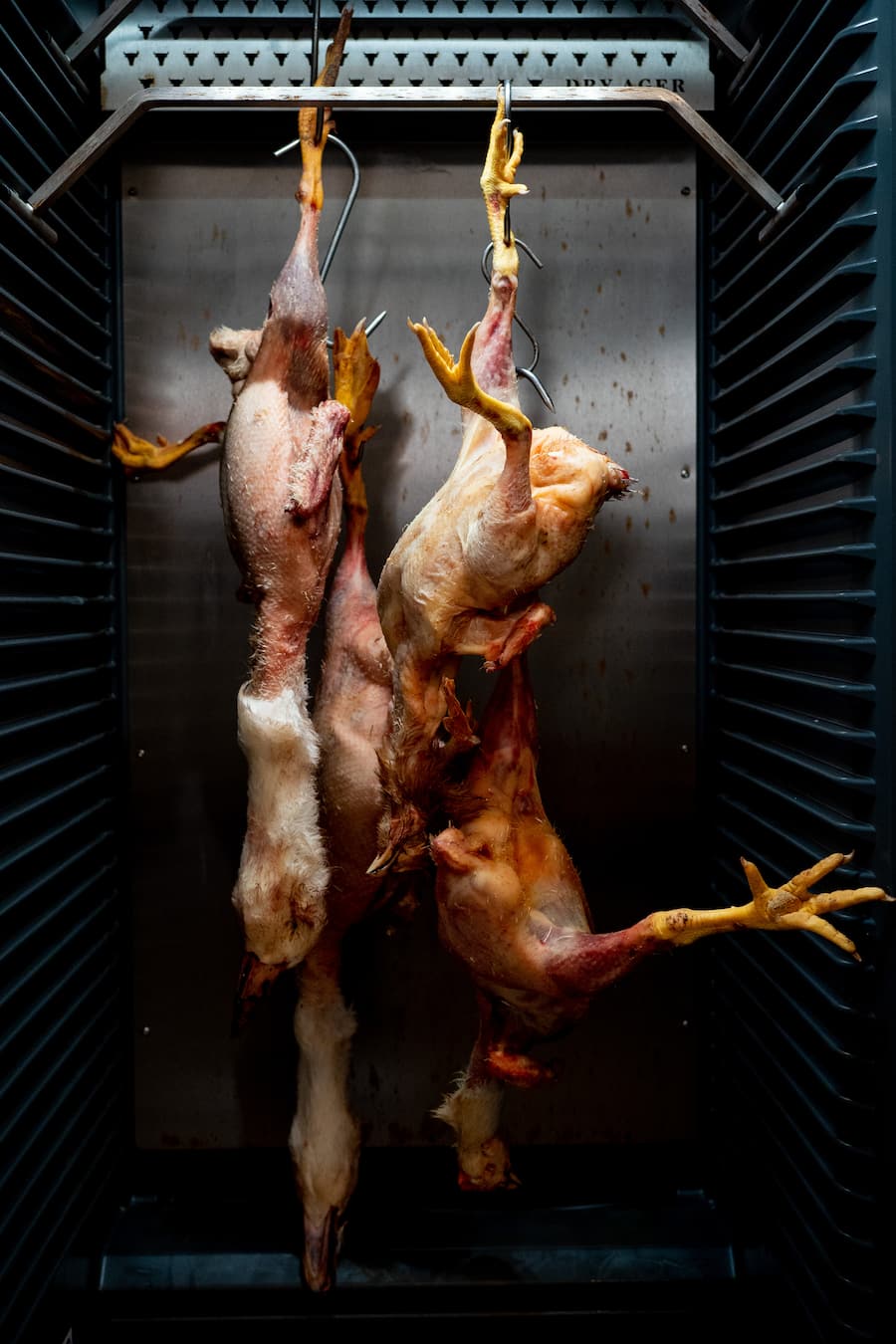 Tarik Lange (Parkhuus) und Marco Tessaro (Luma) zu Besuch bei Robin Geisser, Geflügelzüchter - 1.10.20 - Copyright Olivia Pulver