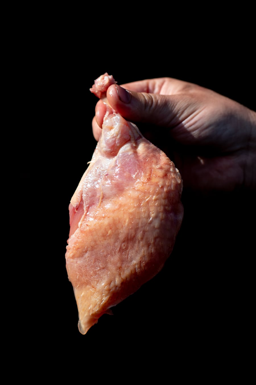 Huhn - Tarik Lange (Parkhuus) und Marco Tessaro (Luma) zu Besuch bei Robin Geisser, Geflügelzüchter - 1.10.20 - Copyright Olivia Pulver