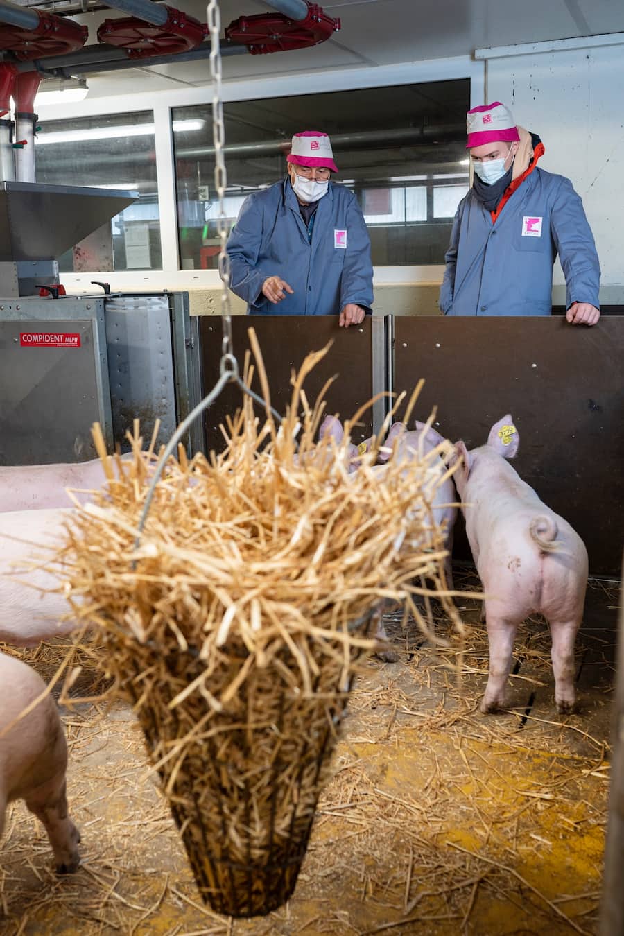 Simon Grimbichler bei der Suisag für Schweizer Fleisch