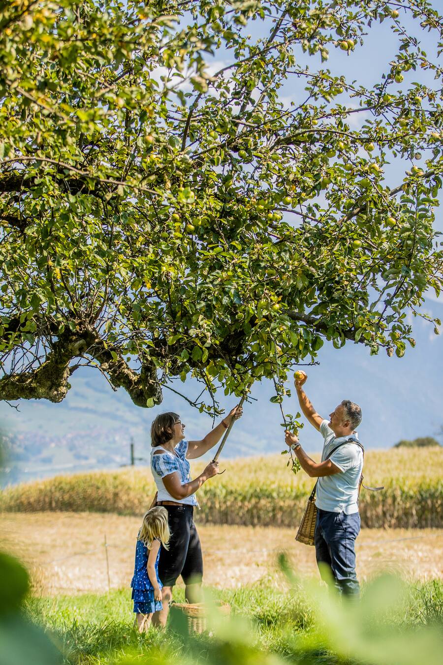 Stefan Beer Victoria Jungfrau Interlaken