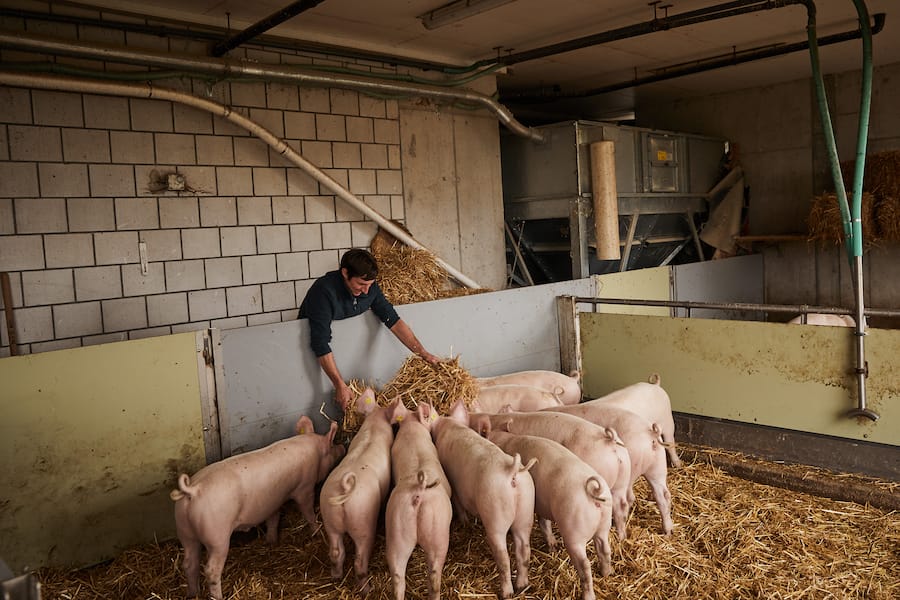 Toni Odermatt Molkesäuli