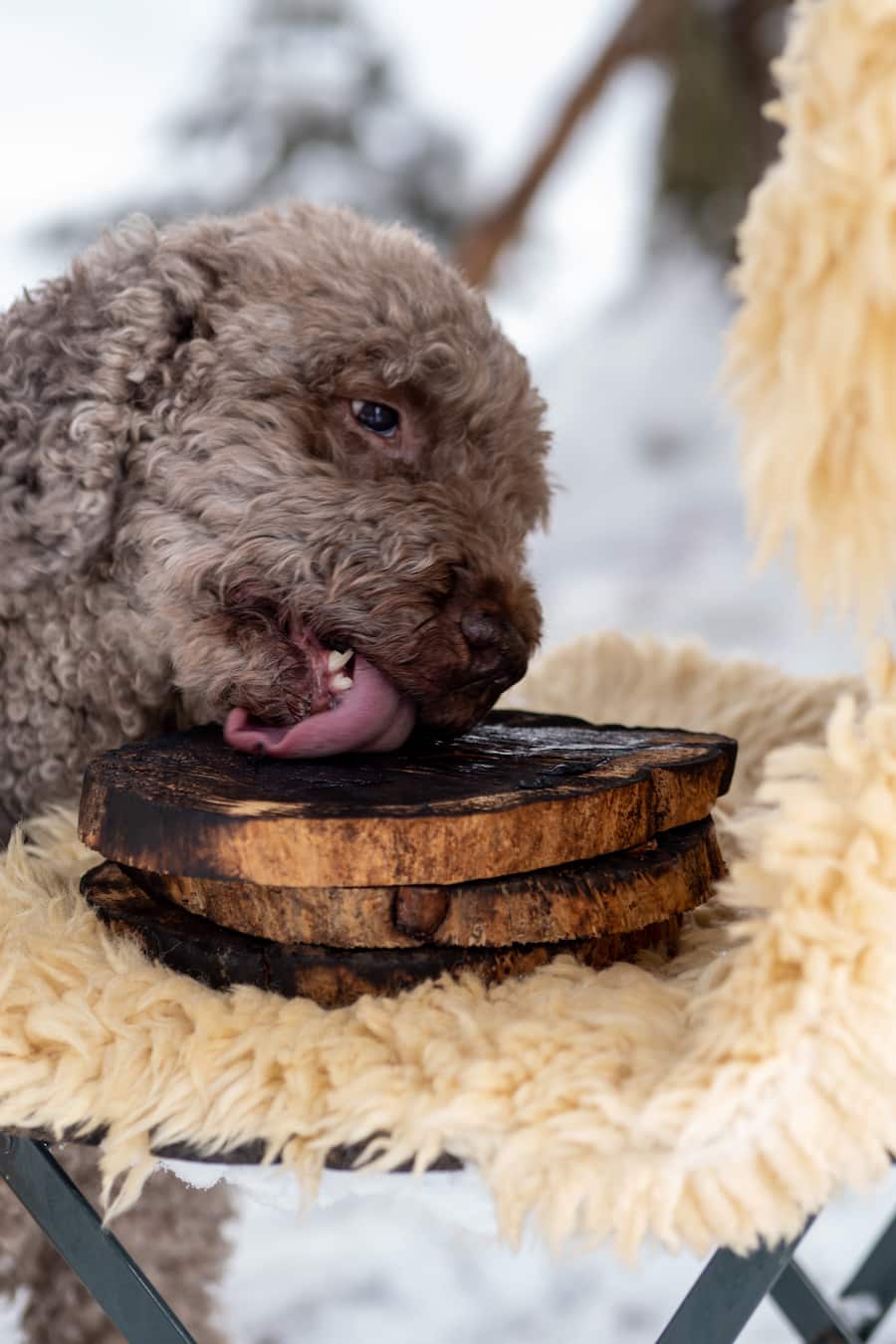 Stefan Wiesner der Hexer vom Entlebuch Rössli Escholzmatt