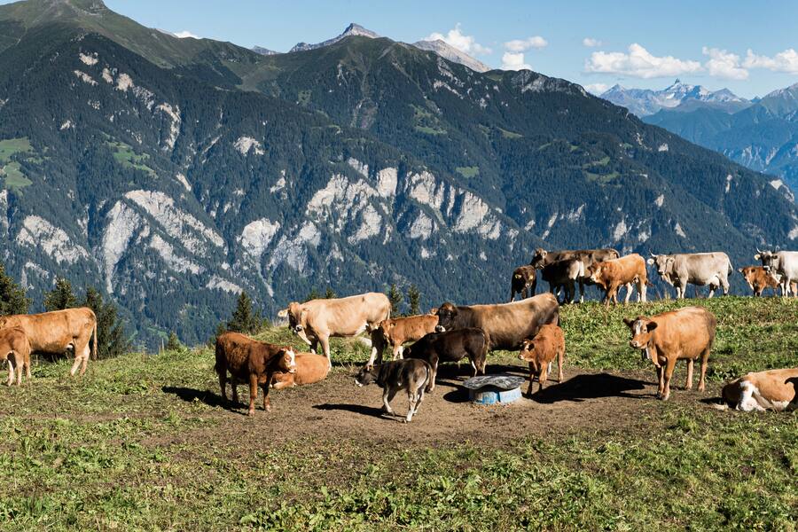 Küchenchef Mathias Kotzbeck Casa Caminada auf der Alp 2021