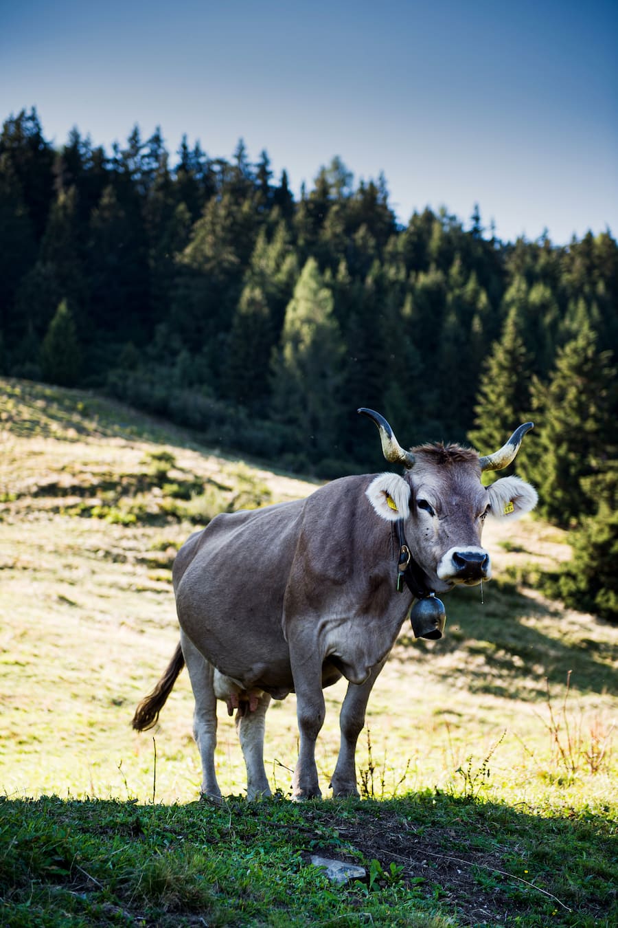 Küchenchef Mathias Kotzbeck Casa Caminada auf der Alp 2021