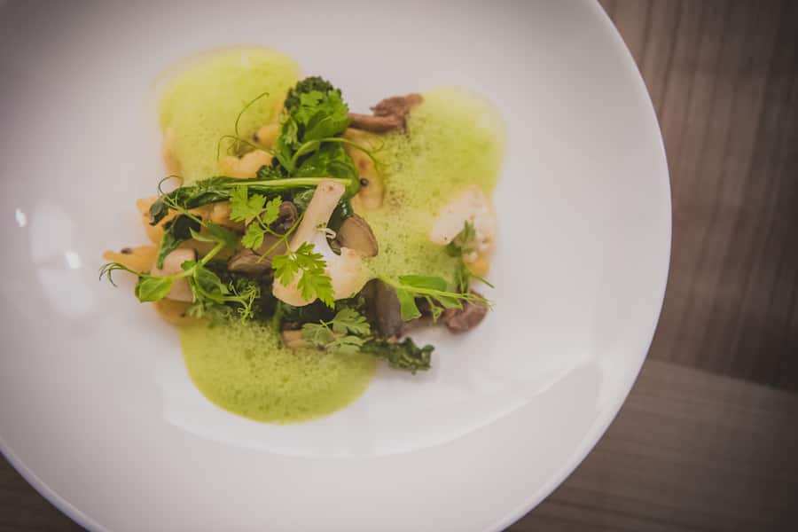 Adula Flims Februar 2021