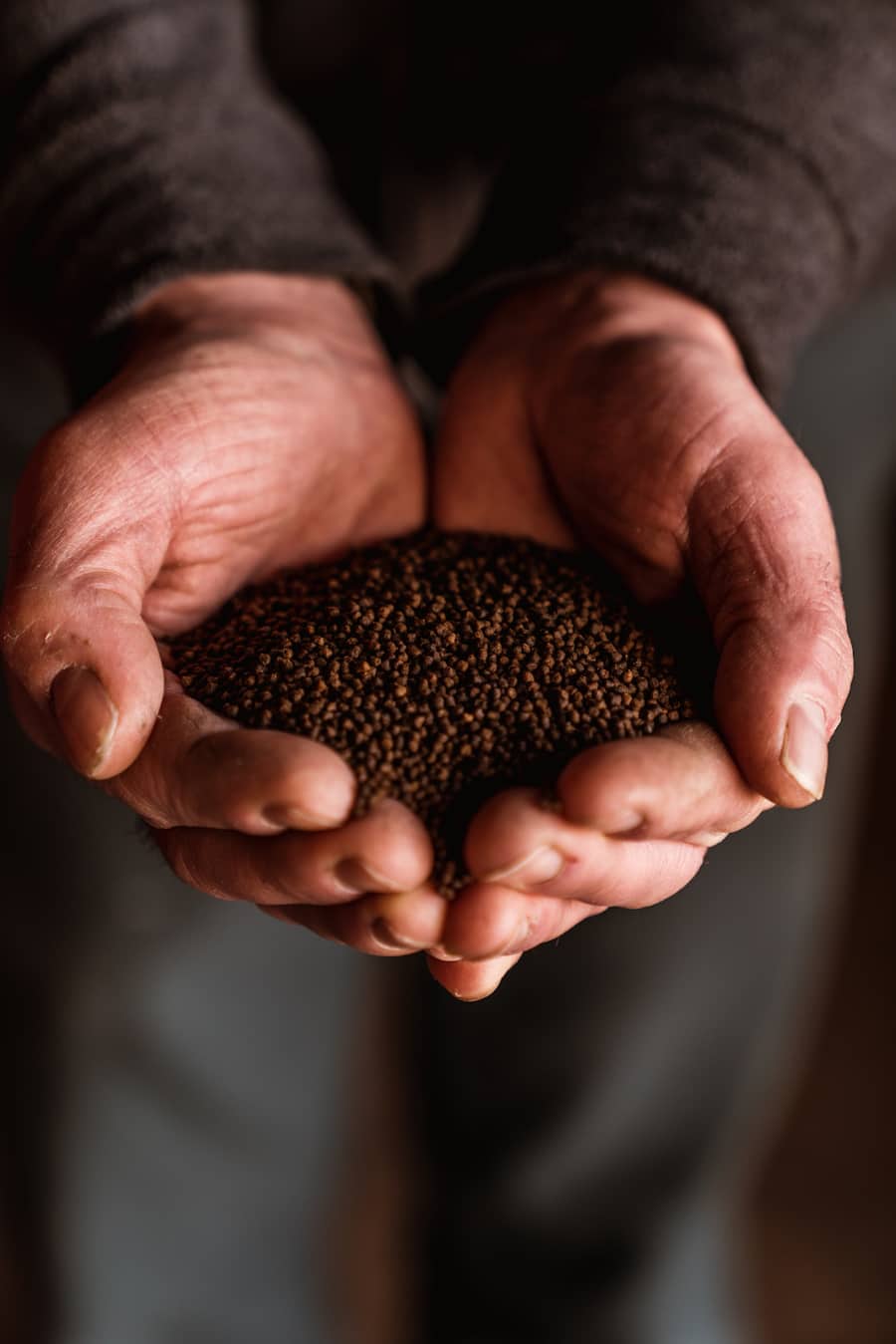 Fischfutter - Die Brauerei Locher züchtet Felchen, gefüttert werden diese mit dem Biertrester. - Patrick Enzler, Lagerchef und Res Mittelholzer, pensinierter Tierarzt sind für die Zucht zuständig. - Im Hofweissbad verarbeiten die Köche Marco Kölbener & Jan Schmid die frischen Fische - Appenzell - 23. Februar 2021 - Copyright Olivia Pulver