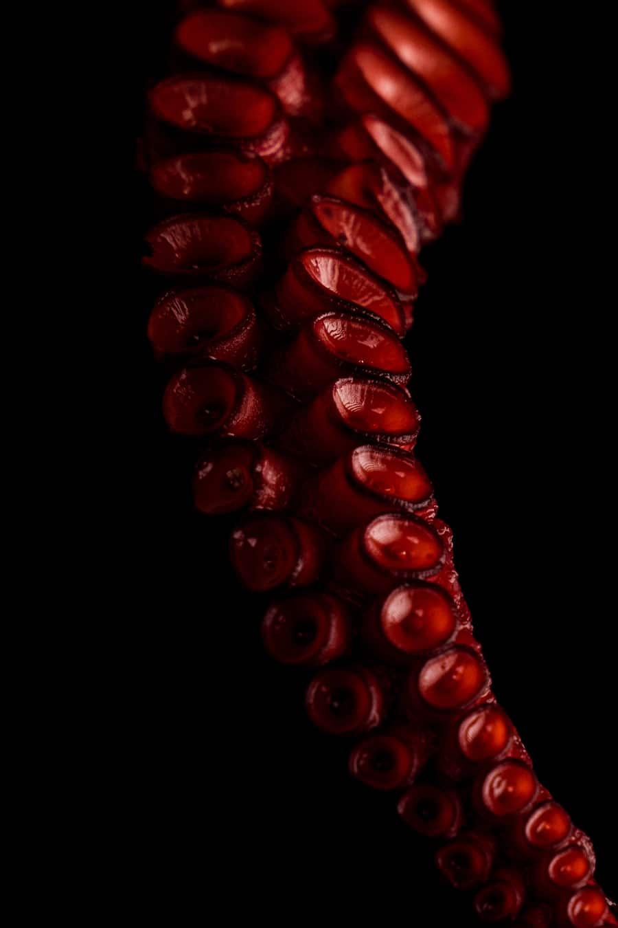 Luma Delikatessen Seafood und Fisch