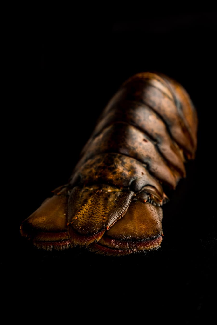 Luma Delikatessen Seafood und Fisch