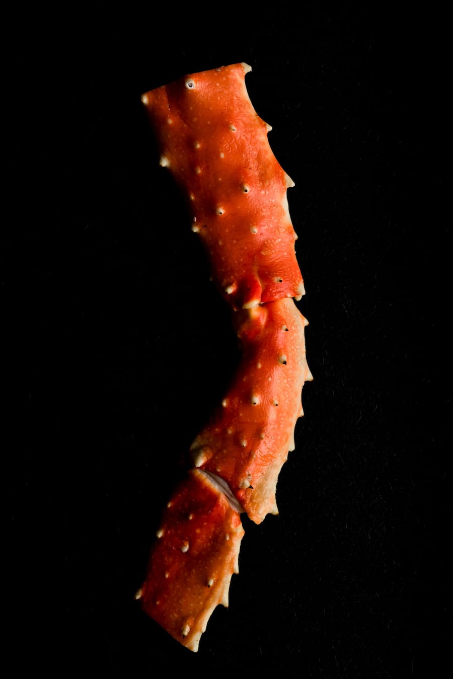 Luma Delikatessen Seafood und Fisch