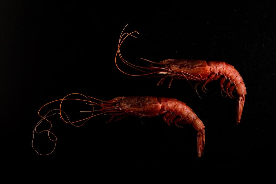 Luma Delikatessen Seafood und Fisch