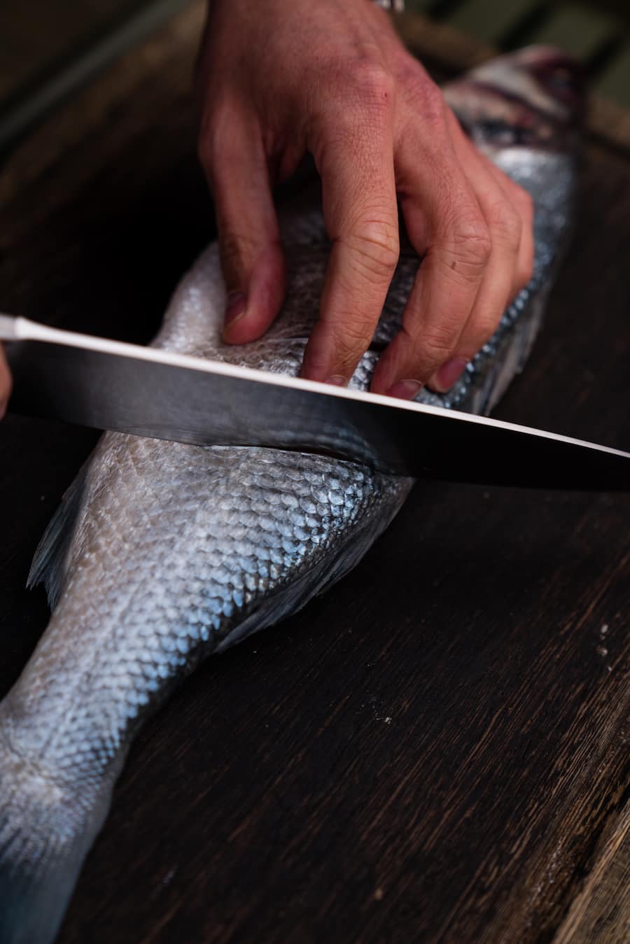 Luma Delikatessen Seafood und Fisch