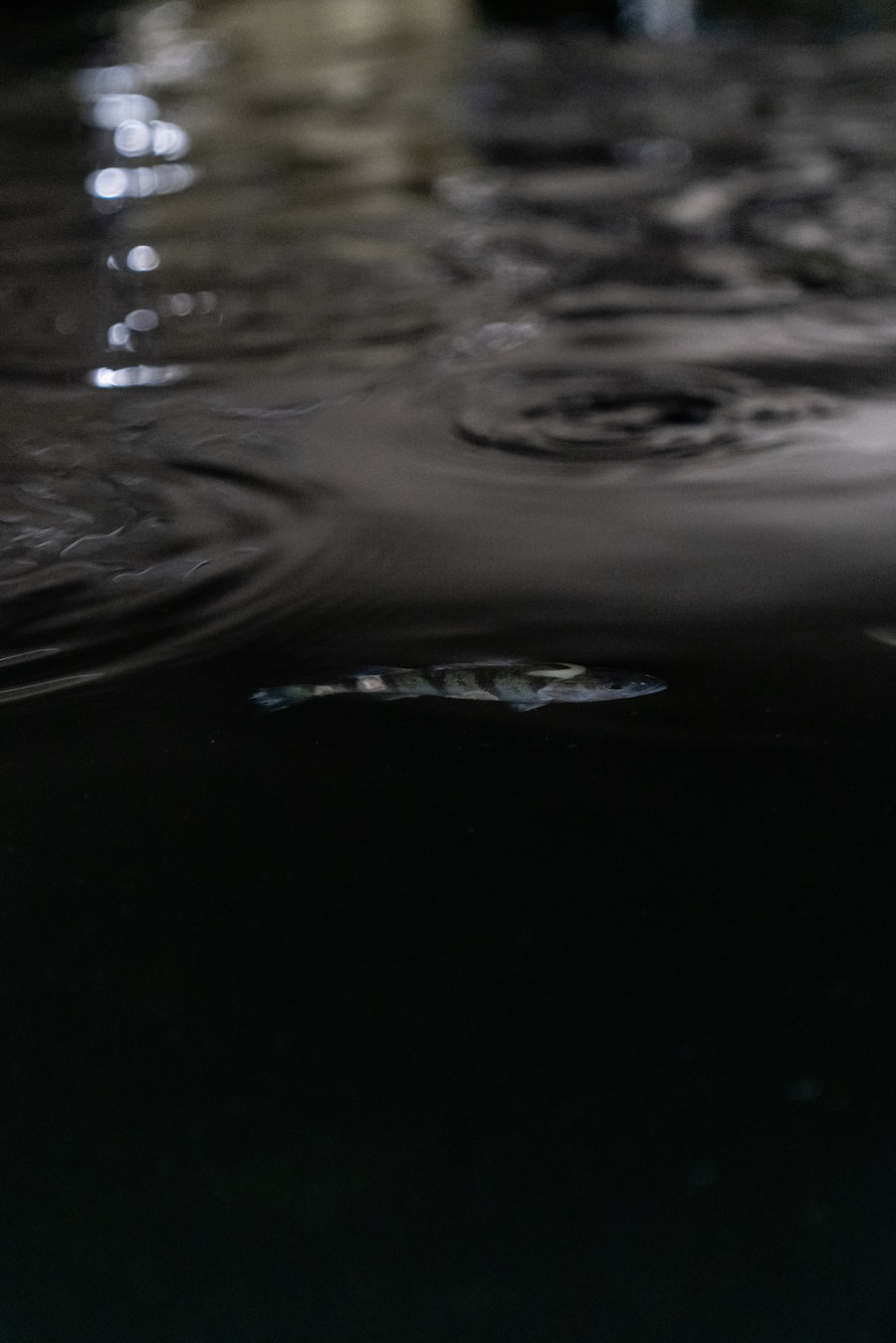 Swiss Aqua Micarna Birsfelden Tipesca