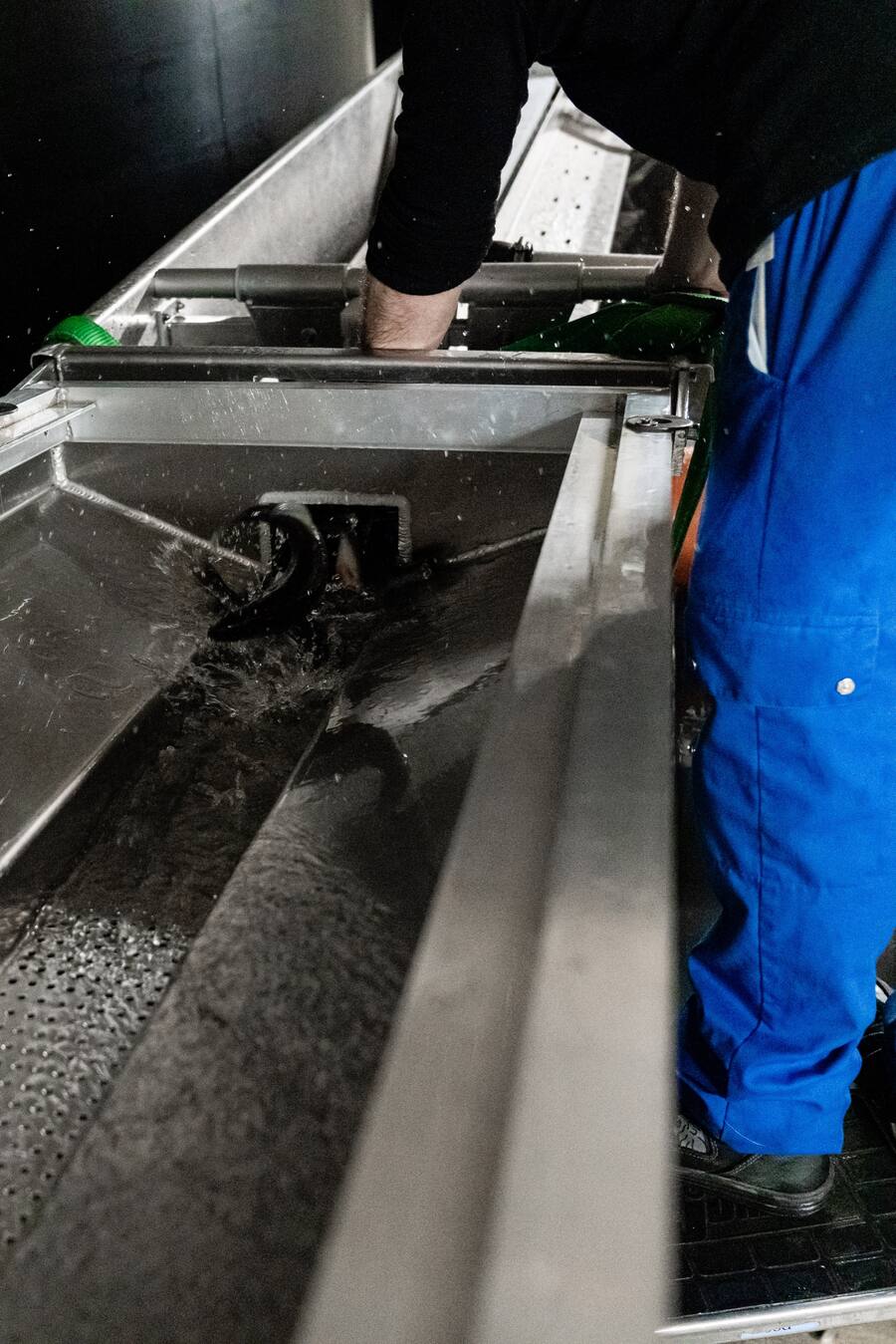 Swiss Aqua Micarna Birsfelden Tipesca