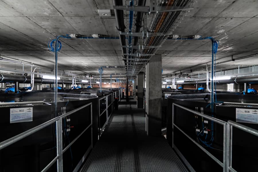 Swiss Aqua Micarna Birsfelden Tipesca