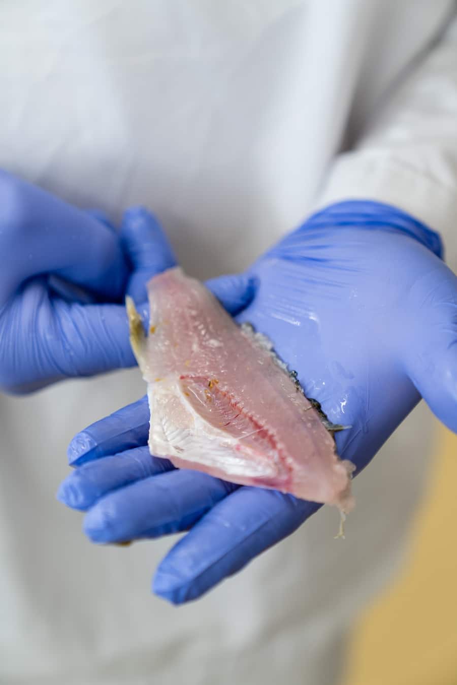 Die Swiss Aquakulturen züchten bzw. mästen in Birsfelden Egli und Felchen. Peter Luft und Fabio Ammann leiten die Fischmast. Tipesca kauft hier Fisch für die Kunden ein. - 24. Februar 2021 - Copyright Olivia Pulver