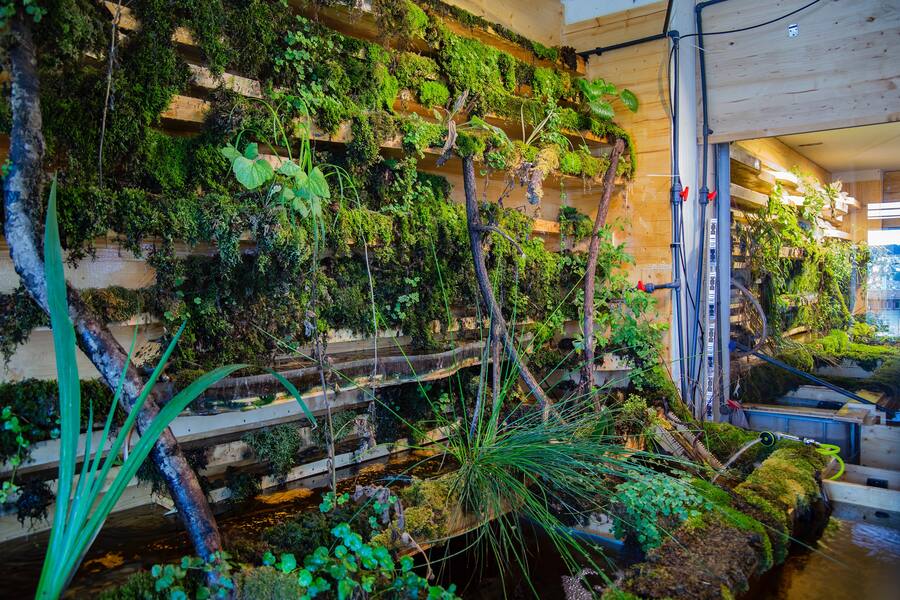 Umami Zürich Altstetten Ökosystem