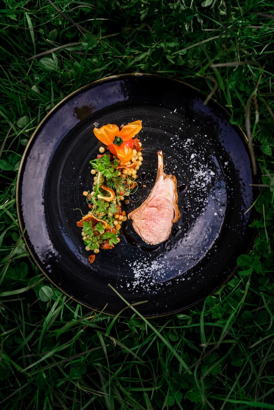 Dominic Bürli Wildenmann Buonas Tipesca