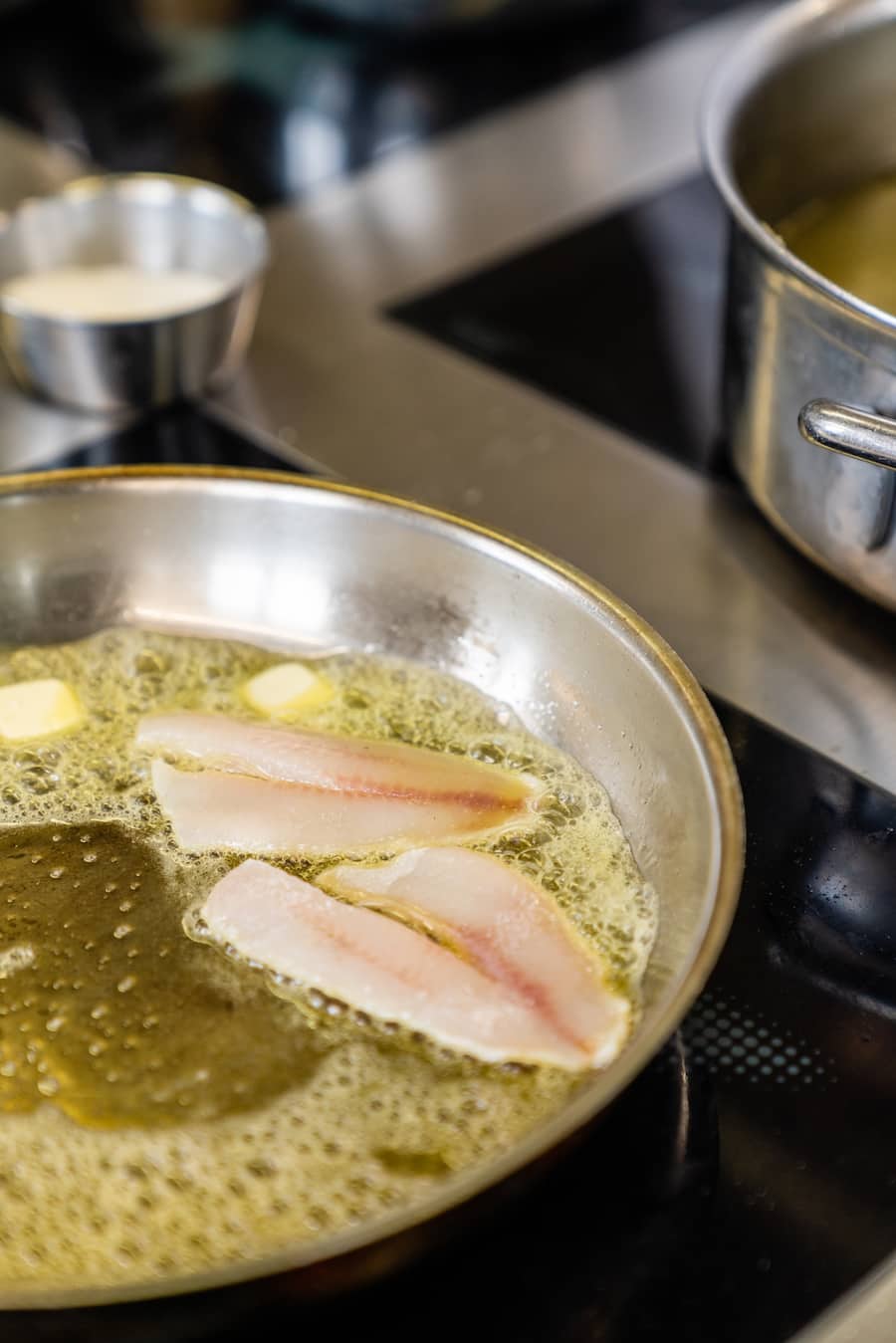 Dominic Bürli Wildenmann Buonas Tipesca