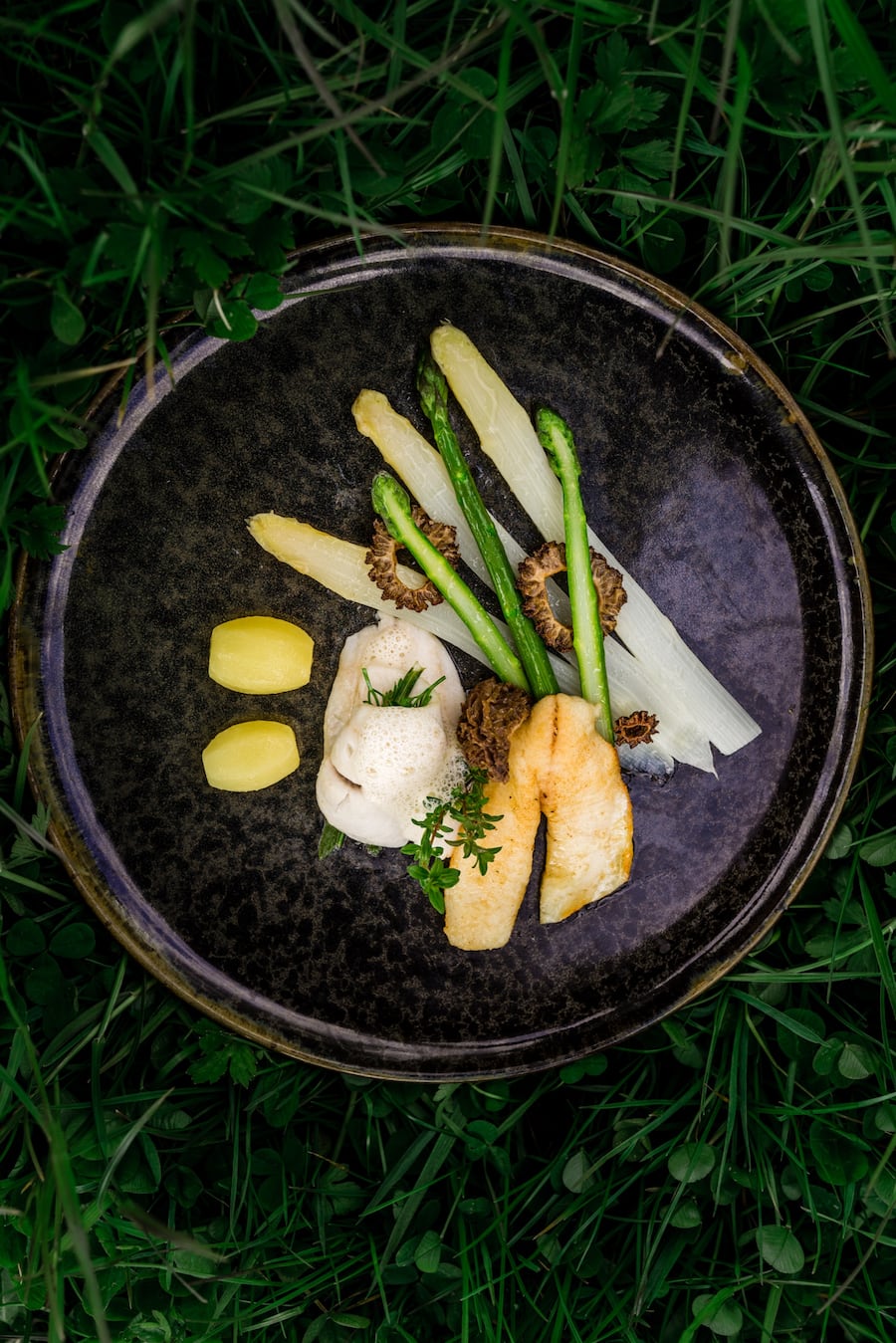 Dominic Bürli Wildenmann Buonas Tipesca