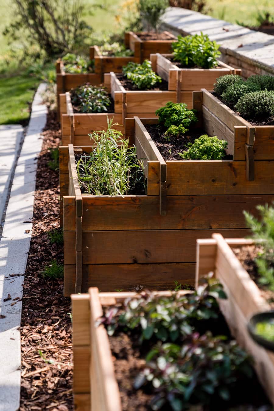 Dominic Bürli Wildenmann Buonas Tipesca