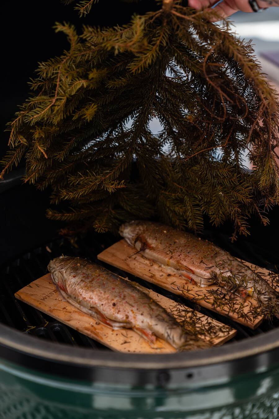 Eismeer Saibling von Luma - Tobias Funke, 17-Punkte-Chef in der Fernsicht in Heiden, ist Green-Egg-Profi. - Grillieren mit Tobias Funke auf dem Big Green Egg - 29. März 2021 - Copyright Olivia Pulver