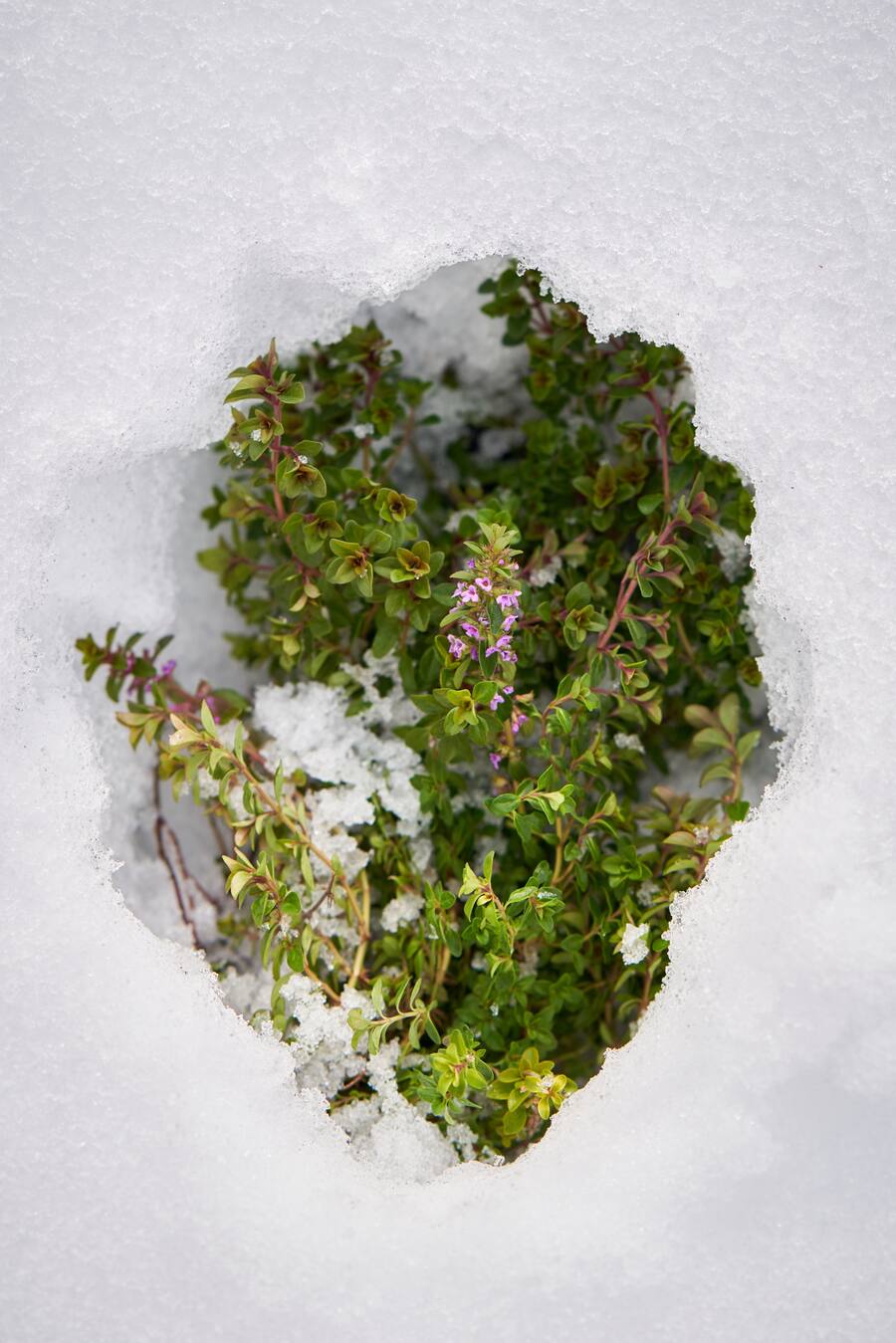 David Krüger Ten Seasons Buch