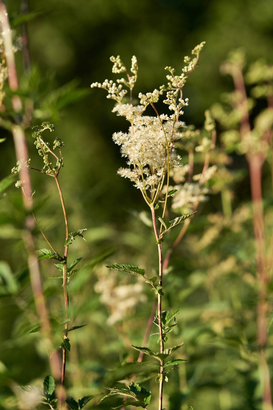 David Krüger Ten Seasons Buch