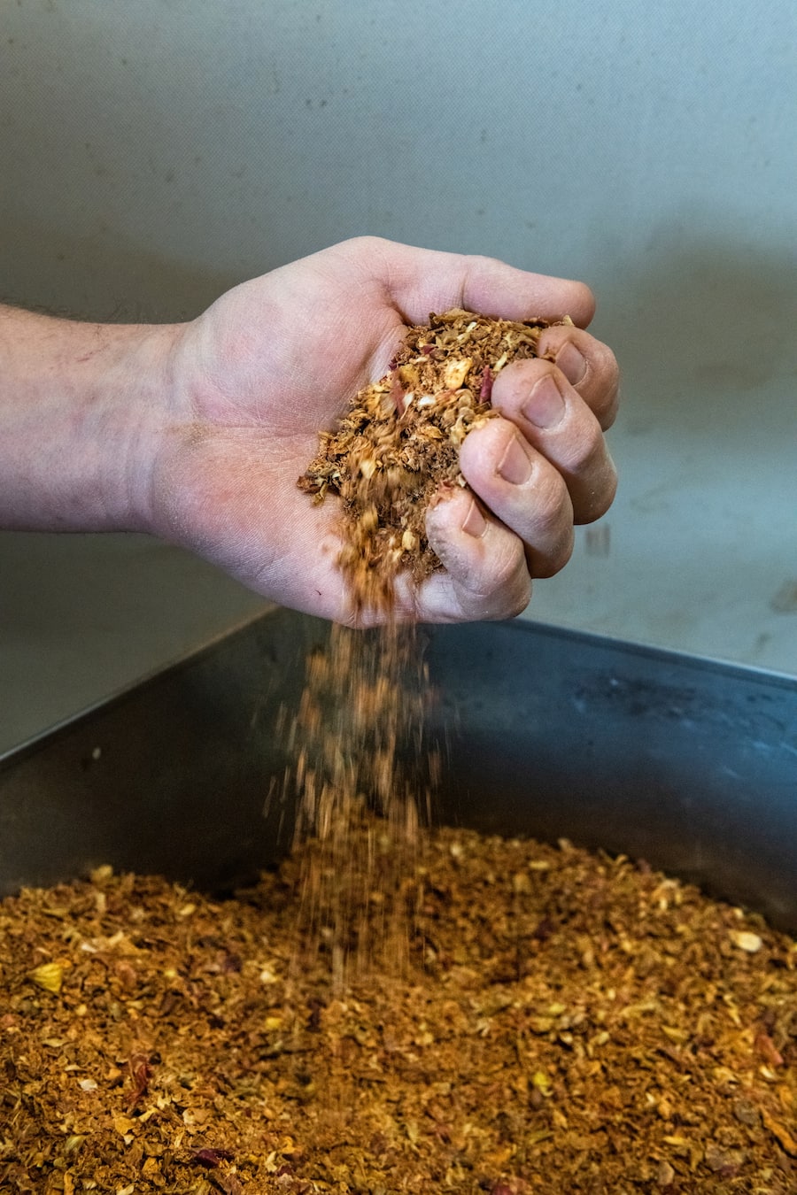 thurgauer apfelschweine von bianchi