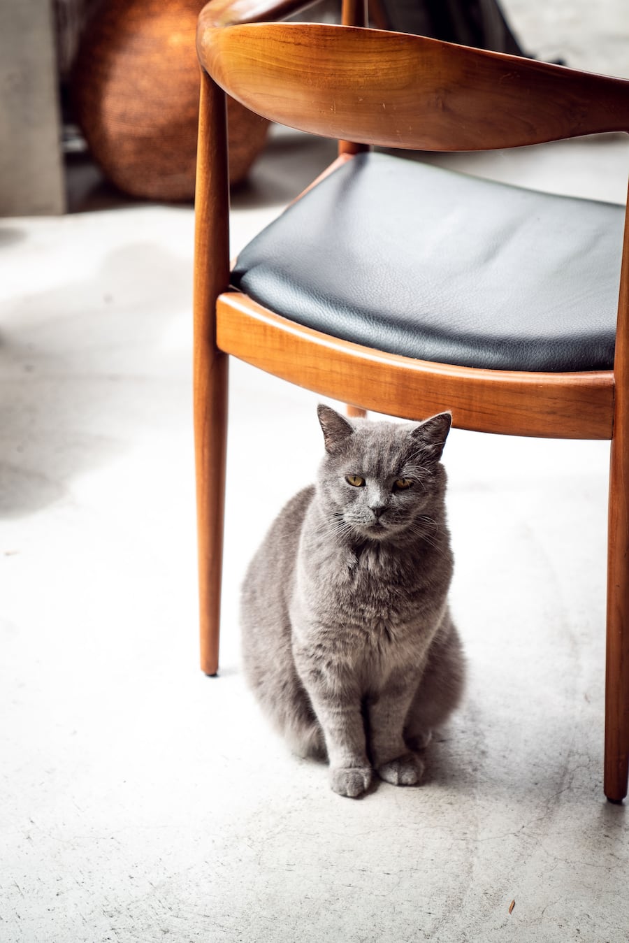 Richi Kägi Rezepte mit Gorgonzola