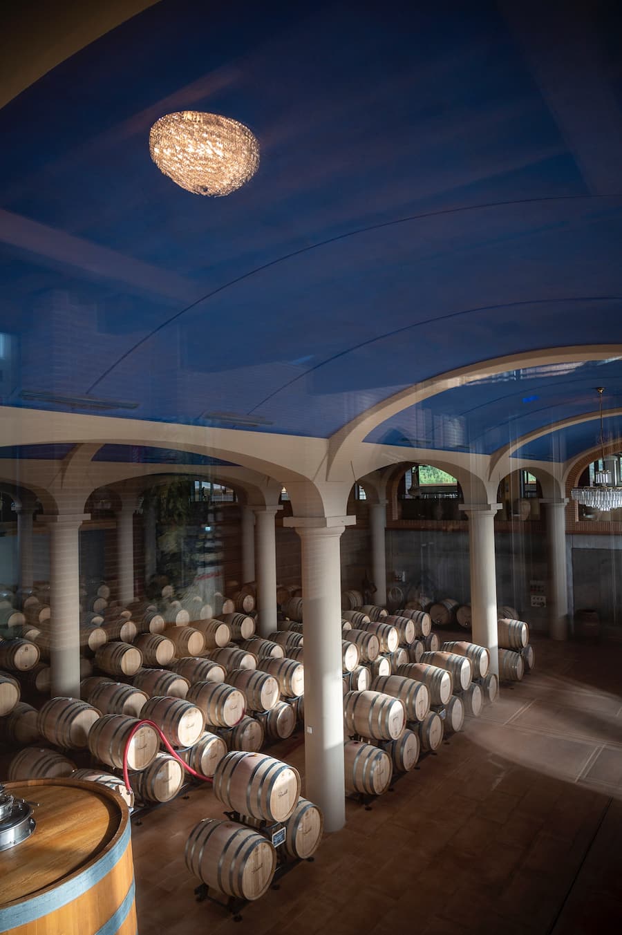 Weinkeller mit Tageslicht