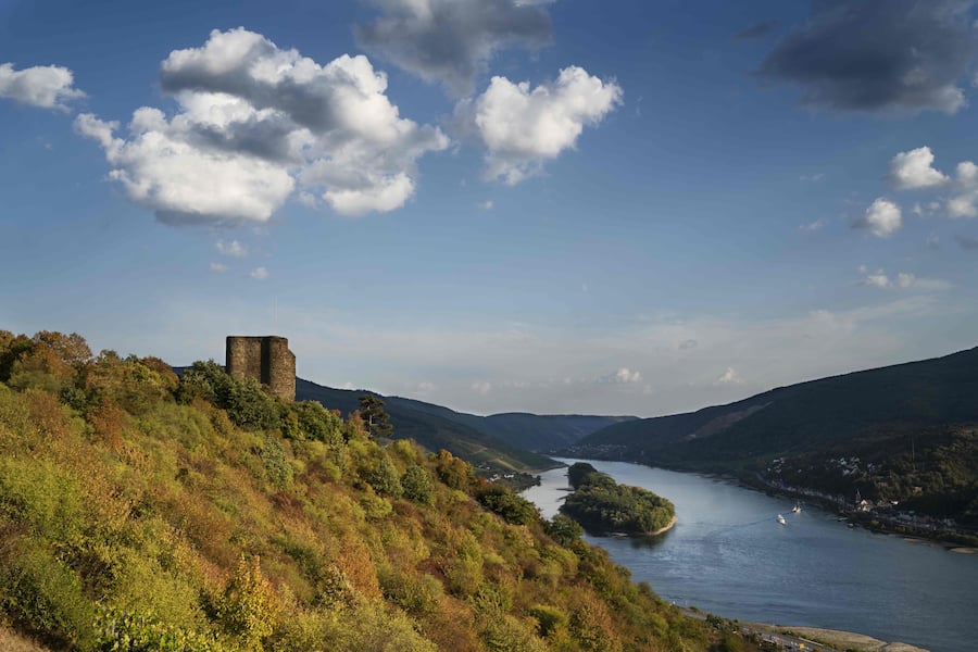 Swiss Wine Mondovino Winzer Juli 2021