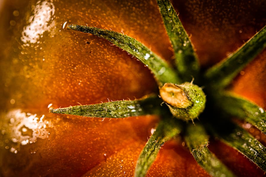 Tomaten Food Market Jelmoli Zürich
