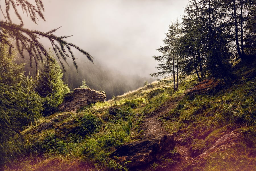 Die schönsten Wanderungen Binntal