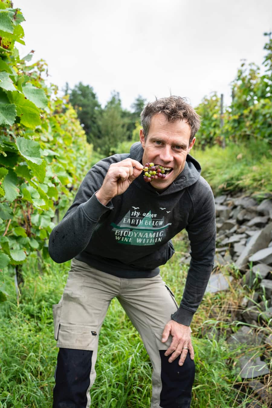 Cedric Besson Strasser Weinbau , Uhwiesen