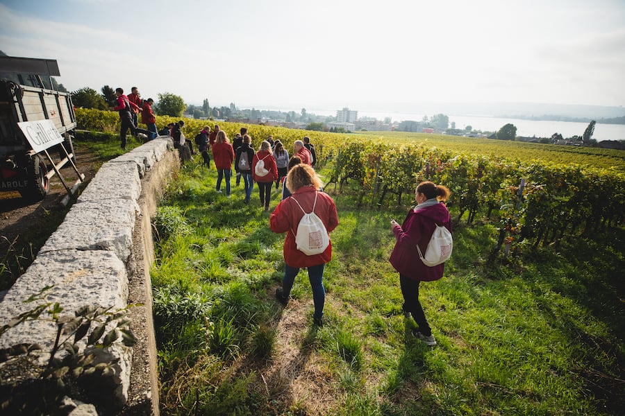 Am Puls der Ernte Grillette Neuenburg Oktober 2021