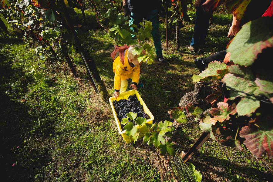 Am Puls der Ernte Grillette Neuenburg Oktober 2021