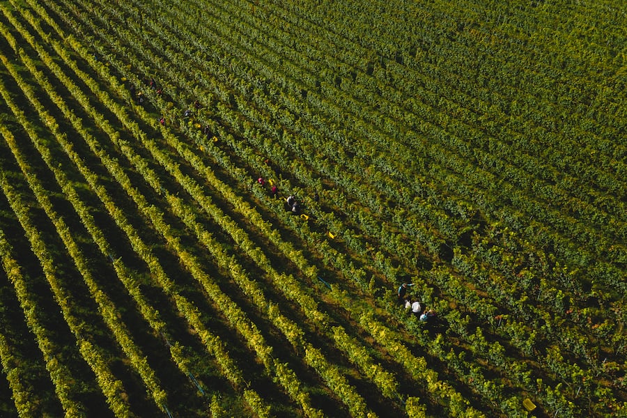 Am Puls der Ernte Grillette Neuenburg Oktober 2021