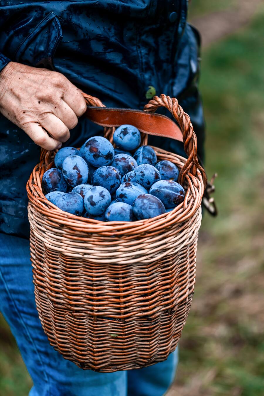 Konfi Markus Kunz Buch LandLiebe