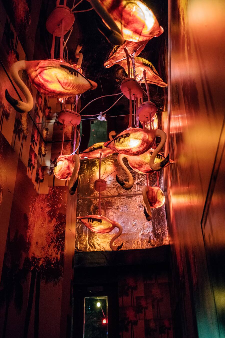 Fat Tony an der Langstrasse