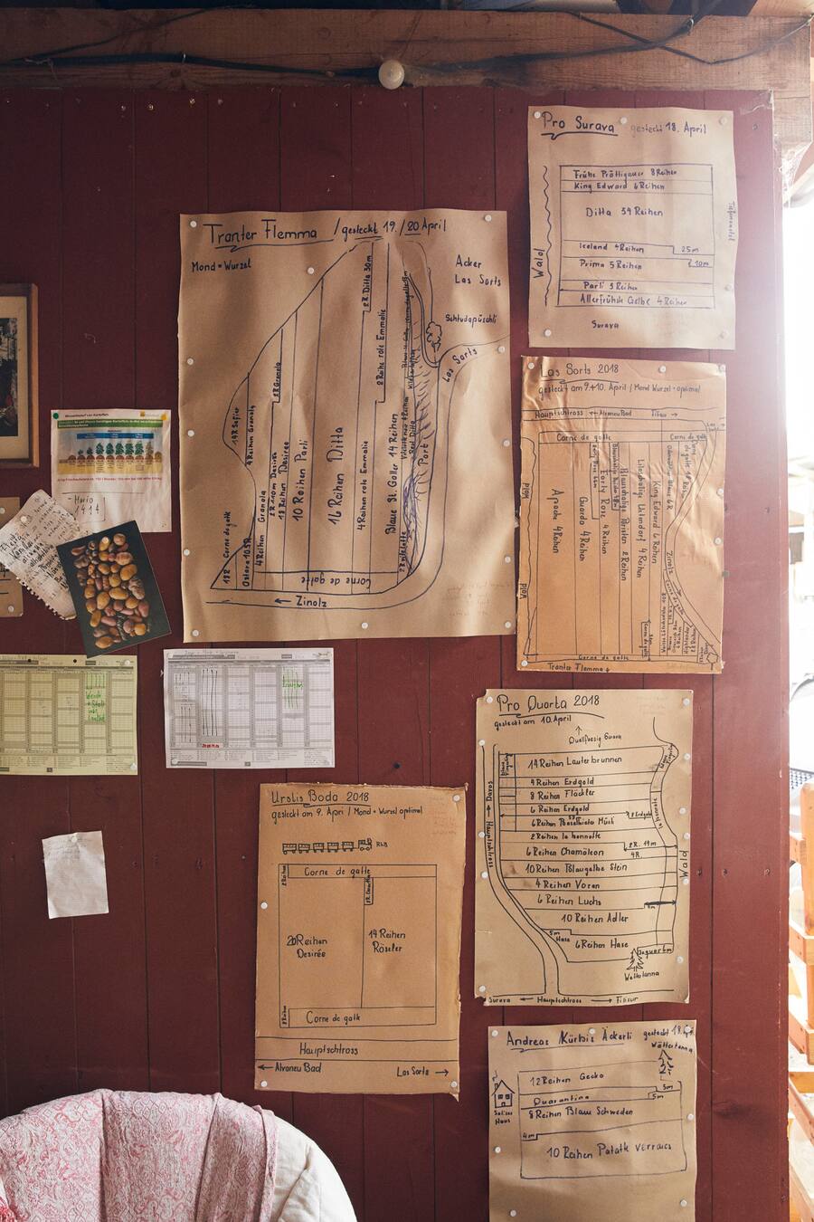 Bergkartoffeln von Marcel Heinrich Albulatal