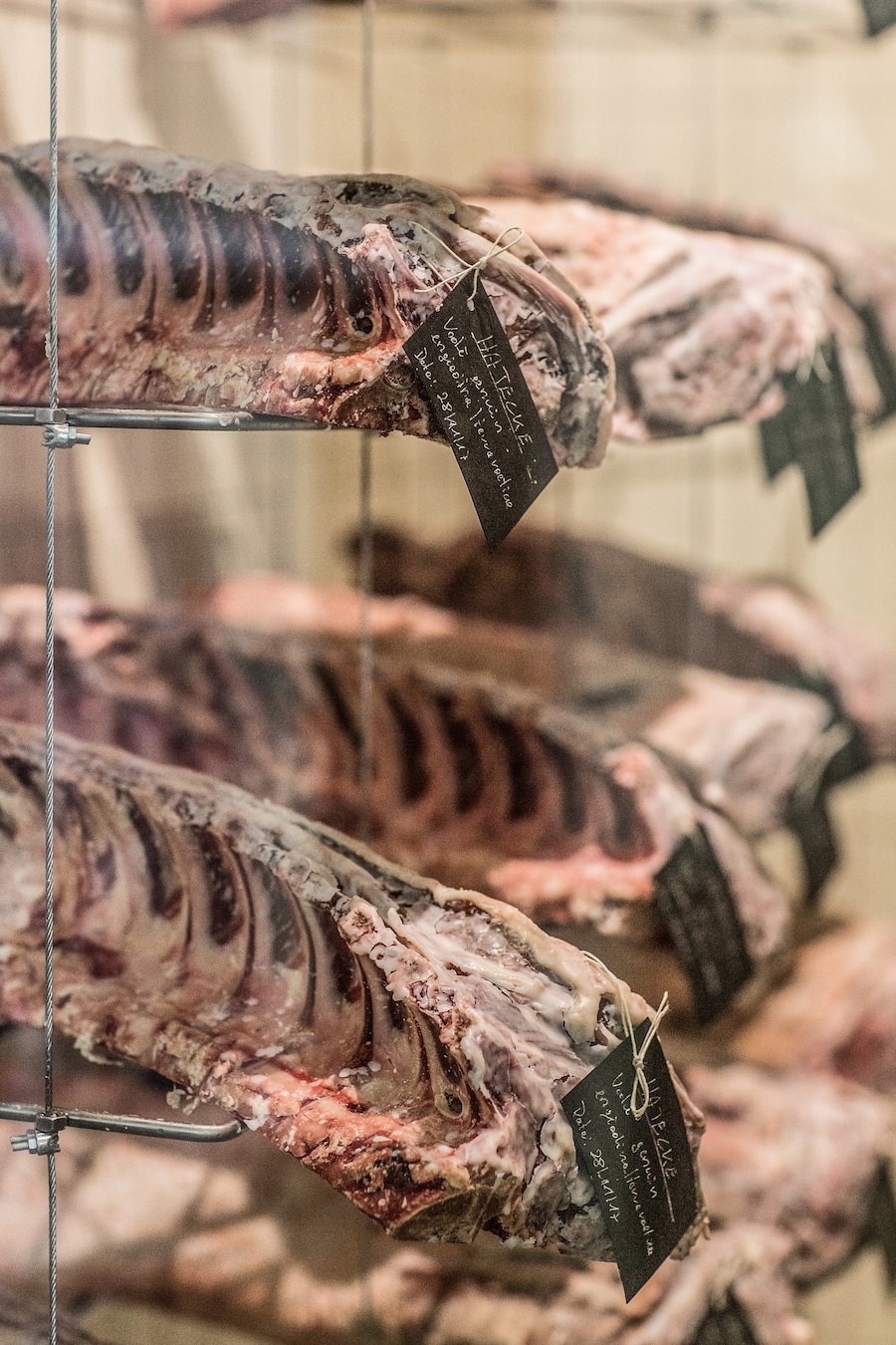 Ludwig Hatecke Scuol Zürich